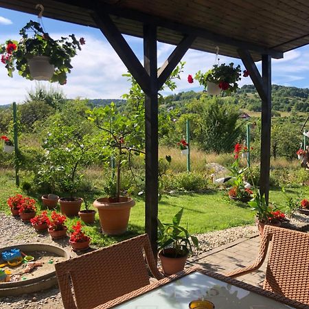 Pensiunea Casa Cu Flori Cisnadioara Buitenkant foto