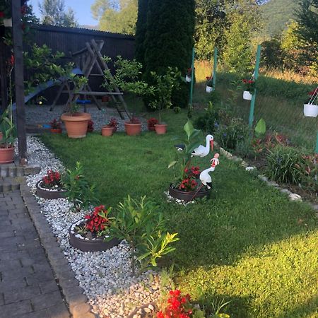 Pensiunea Casa Cu Flori Cisnadioara Buitenkant foto