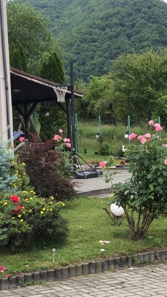 Pensiunea Casa Cu Flori Cisnadioara Buitenkant foto