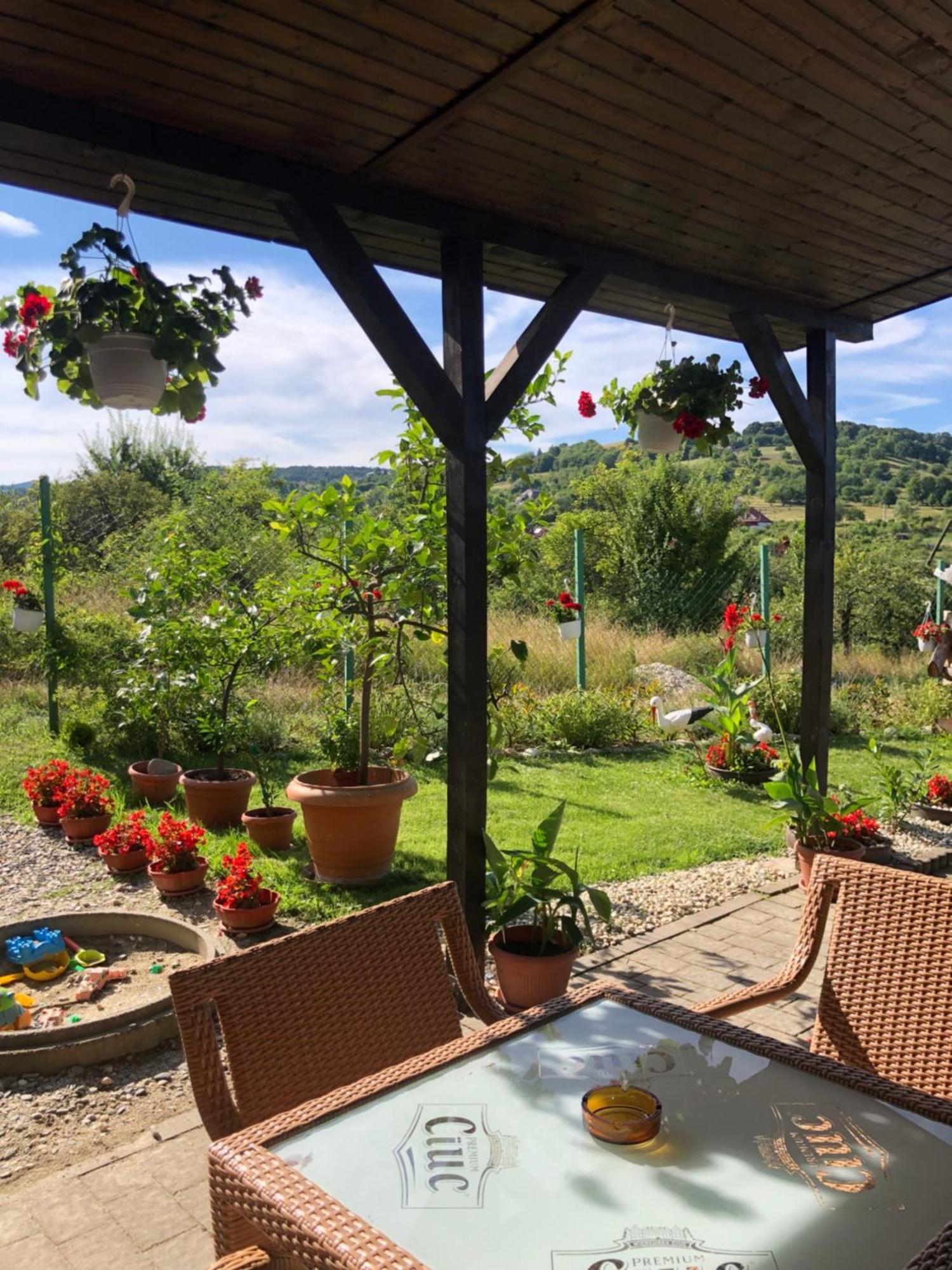 Pensiunea Casa Cu Flori Cisnadioara Buitenkant foto