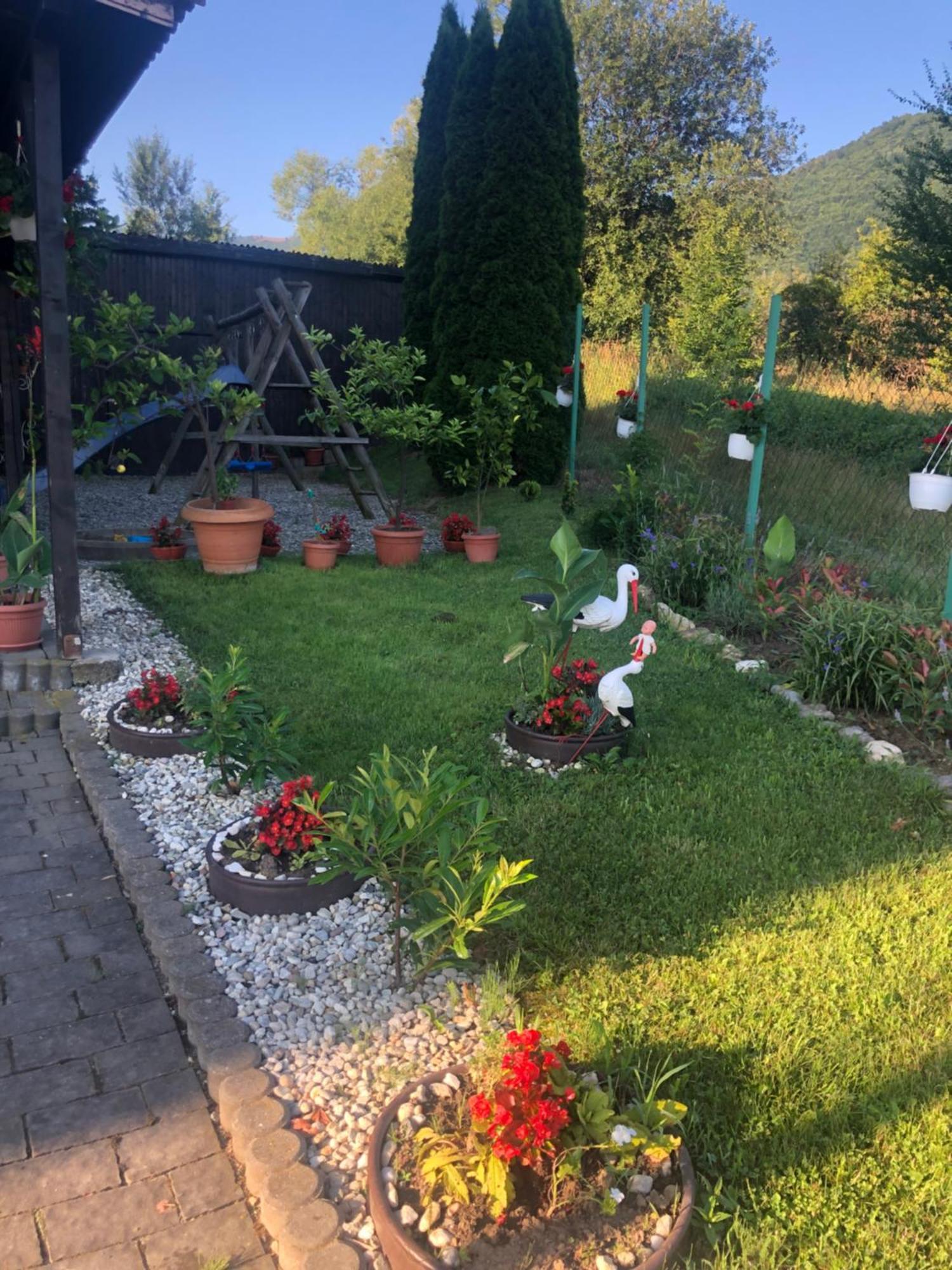 Pensiunea Casa Cu Flori Cisnadioara Buitenkant foto