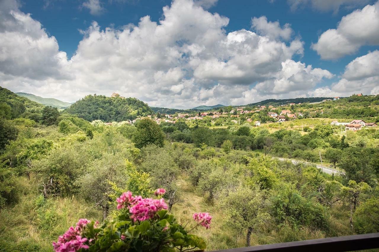 Pensiunea Casa Cu Flori Cisnadioara Buitenkant foto