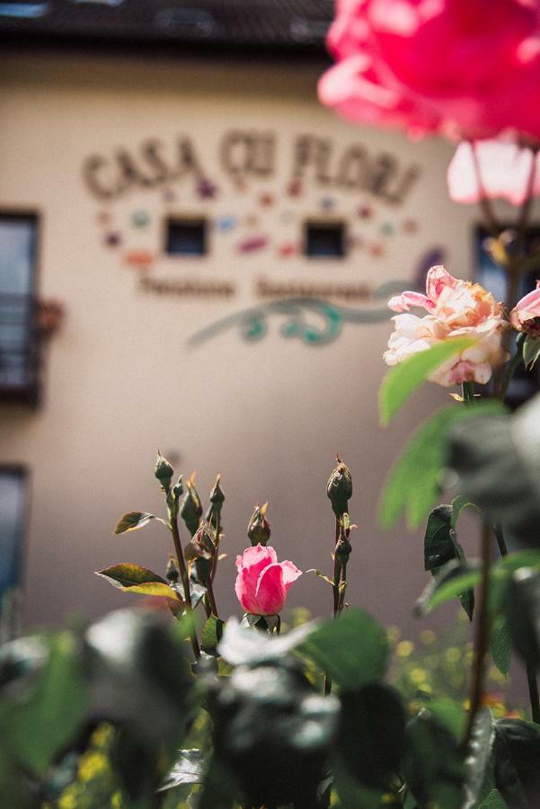 Pensiunea Casa Cu Flori Cisnadioara Buitenkant foto