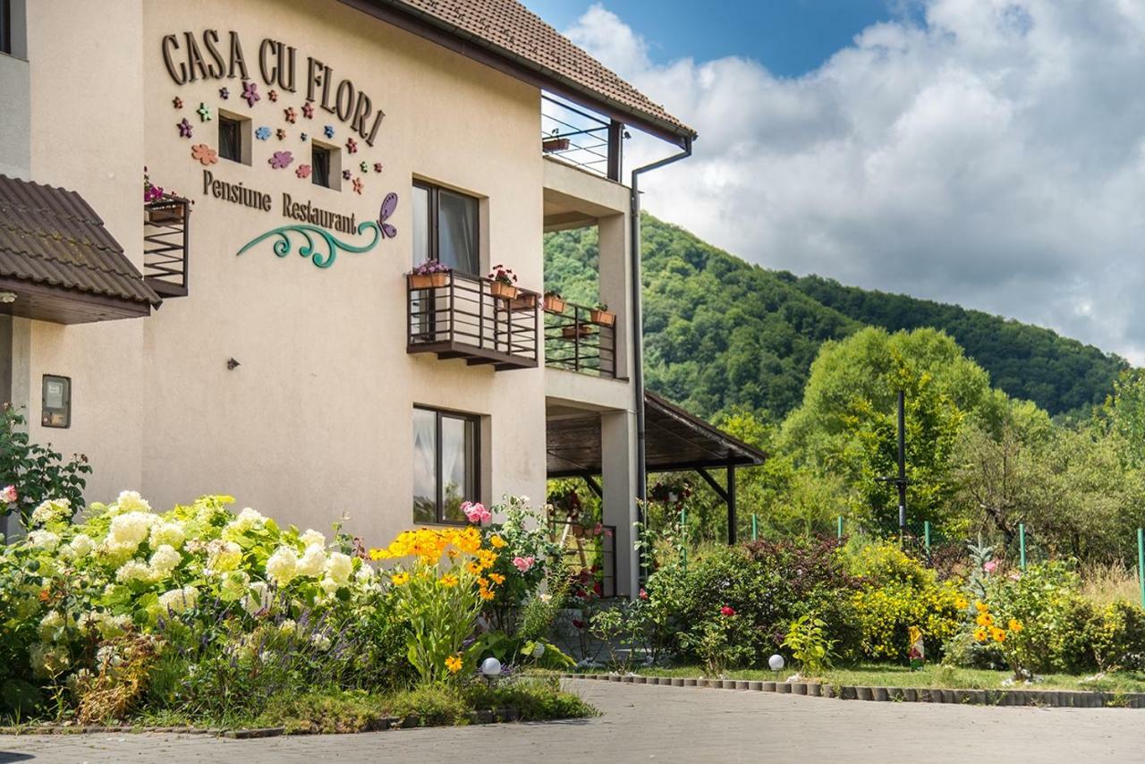 Pensiunea Casa Cu Flori Cisnadioara Buitenkant foto