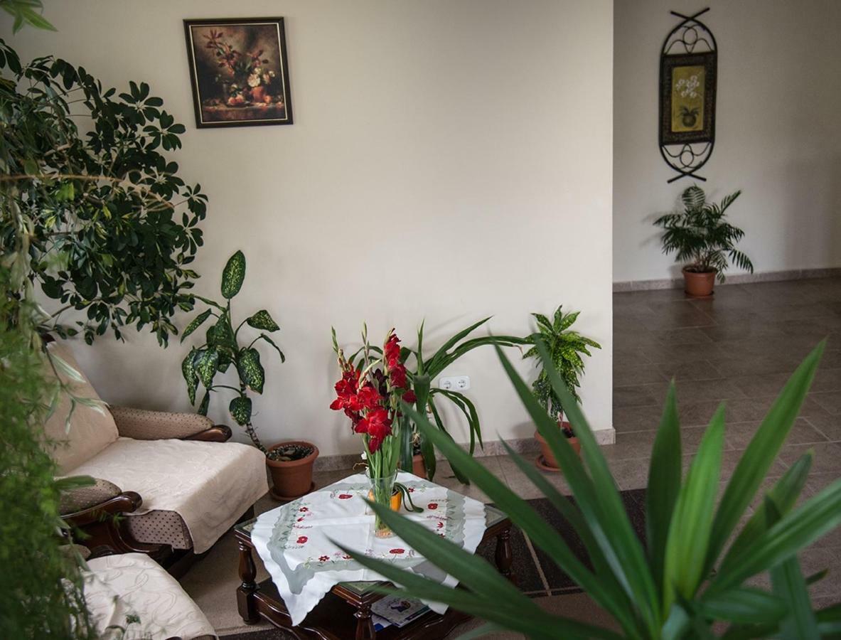 Pensiunea Casa Cu Flori Cisnadioara Buitenkant foto
