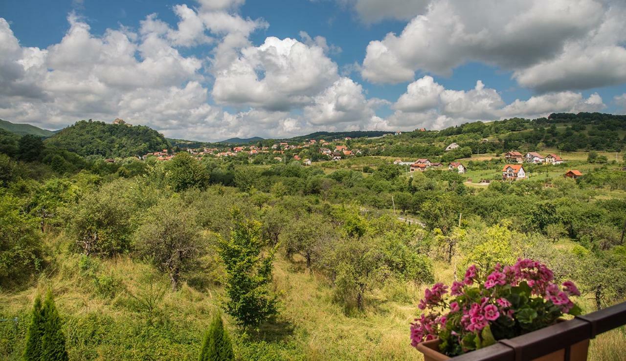 Pensiunea Casa Cu Flori Cisnadioara Buitenkant foto