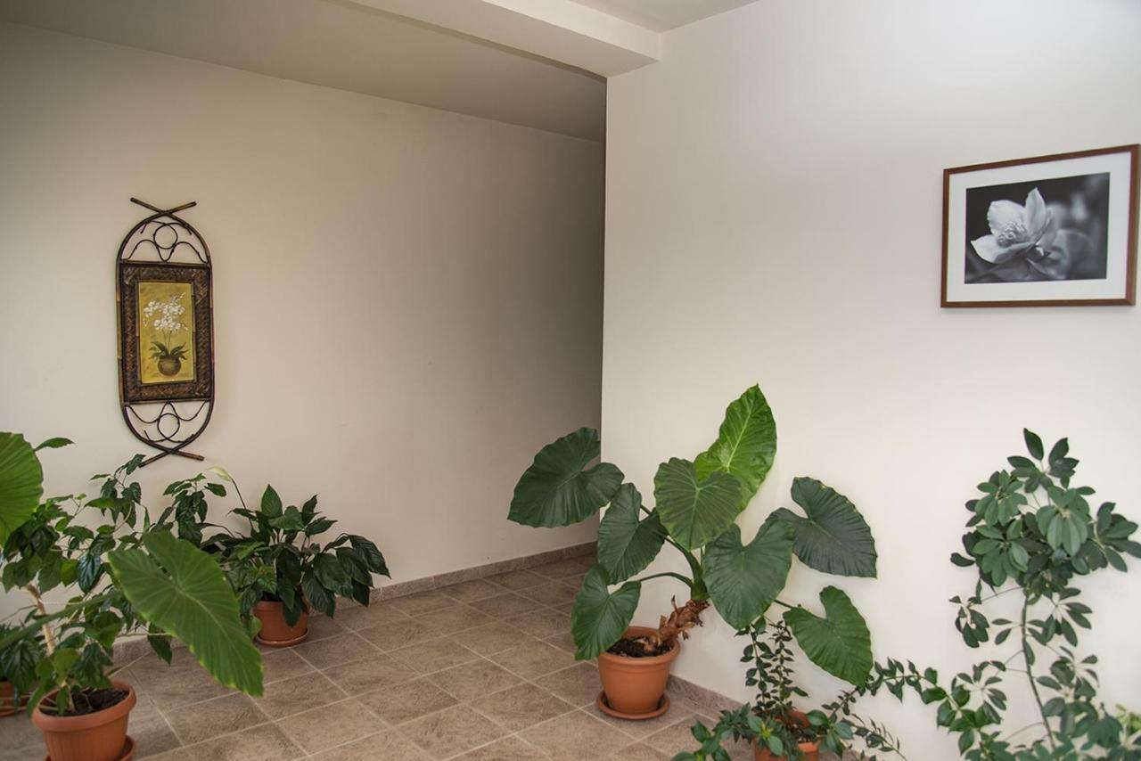 Pensiunea Casa Cu Flori Cisnadioara Buitenkant foto